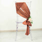 5 Pack Terracotta (Rust) Accordion Crinkle Taffeta Chair Sashes - 6"x106"
