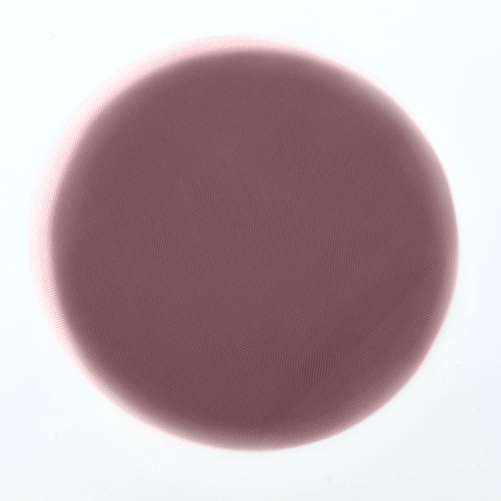 Violet Amethyst Sheer Nylon Tulle Circles 9 Inch#whtbkgd