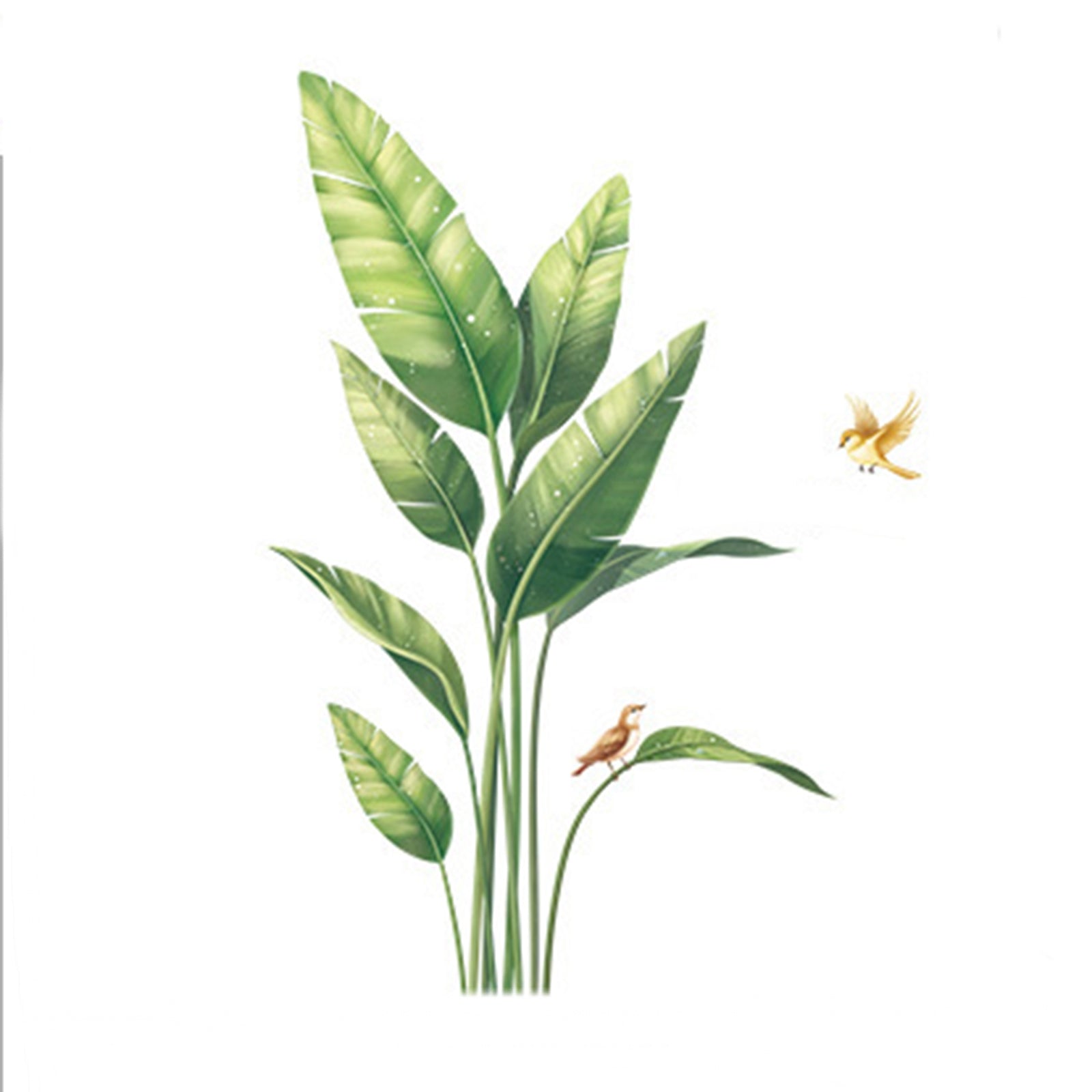 Green Bird of Paradise Tropical Plant Wall Decal, Peel and Stick Removable Stickers