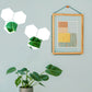 White hexagon mirror wall stickers on a light blue wall with greenery.