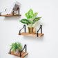 Wood and metal floating wall shelves with plants on a white wall.