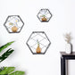 Black hexagonal floating wall shelves with decorative plants and vases.
