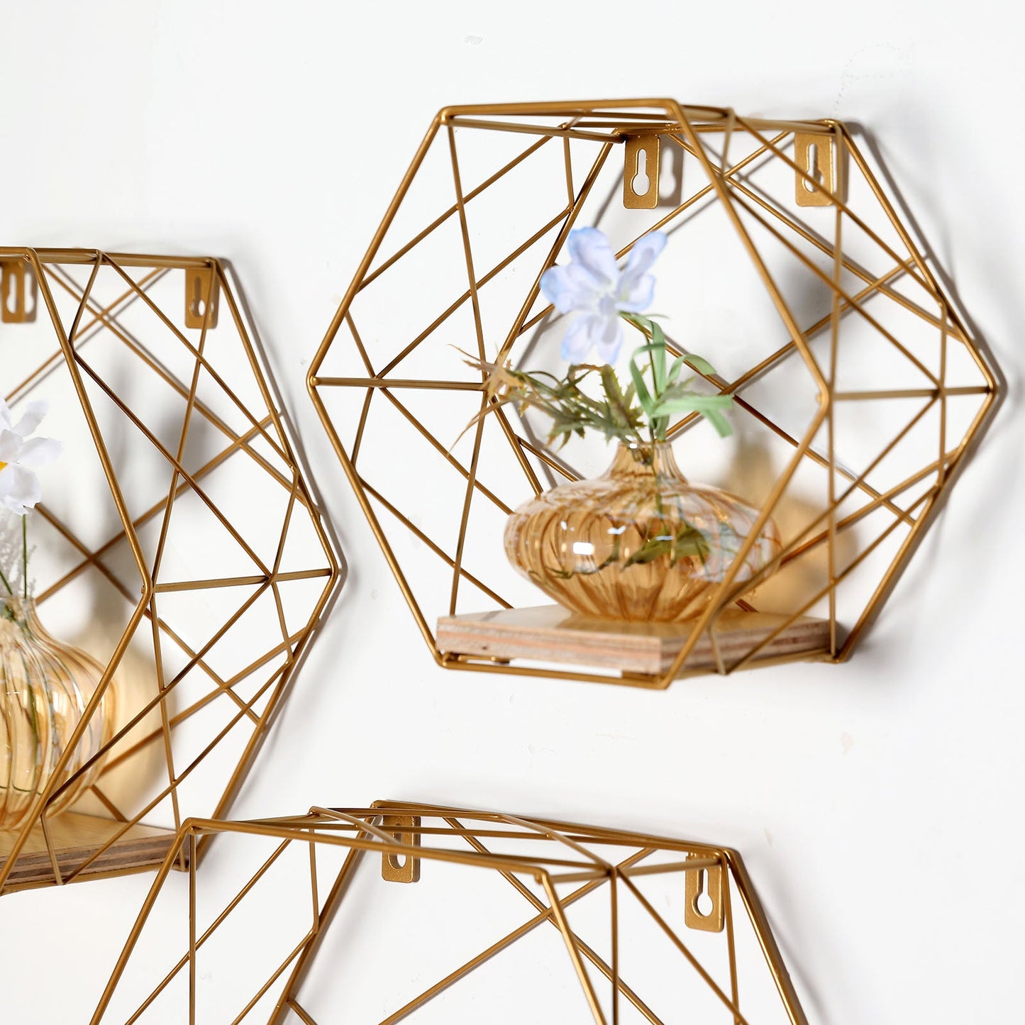 Gold hexagonal floating wall shelves with decorative plants.