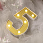 Warm white 6 LED light up number 5 in gold and white.