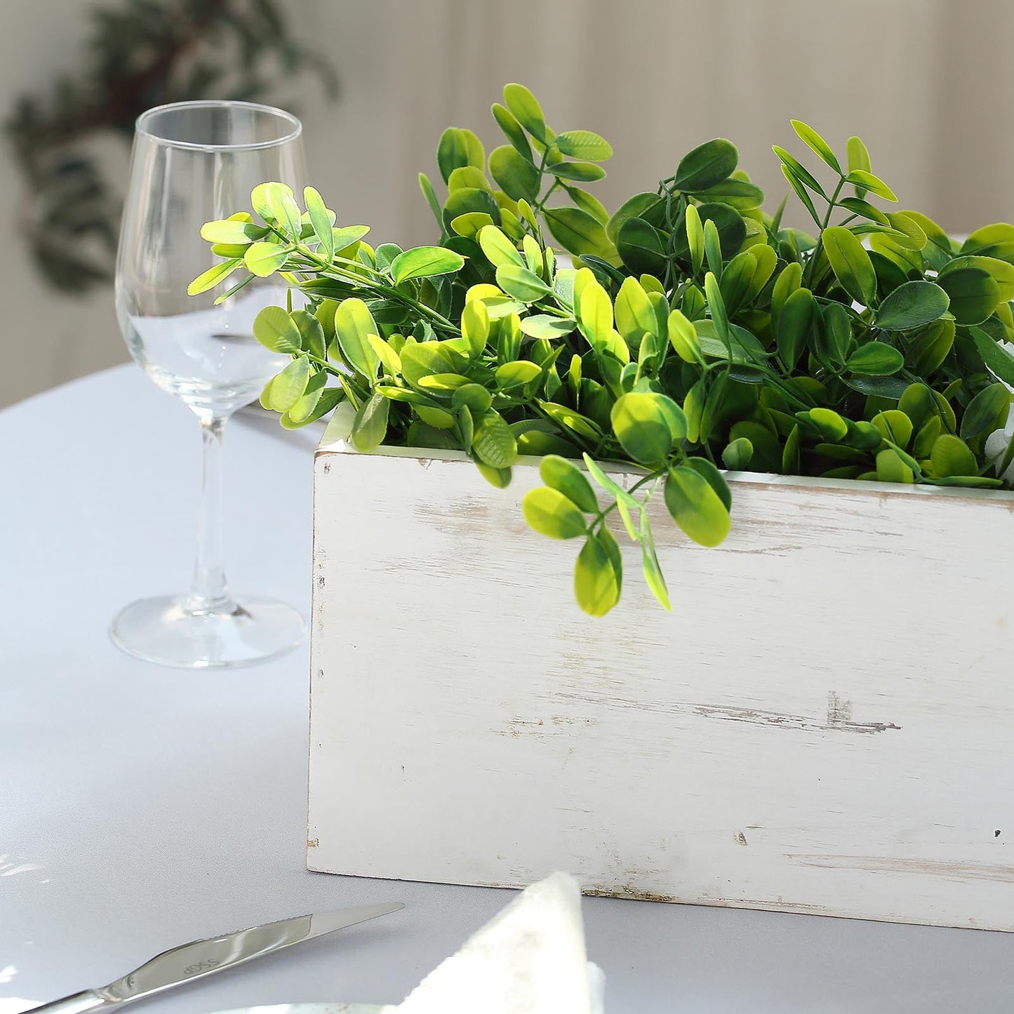 White rectangular wood planter box with green foliage.