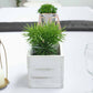 Whitewash square wood planter box with removable plastic liner and green plant.