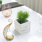 Whitewash square wood planter box with removable plastic liner and green plant.