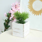 Whitewash square wood planter box with green plant inside.