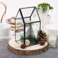 Rustic natural wood slice table centerpiece with greenery and pinecones.