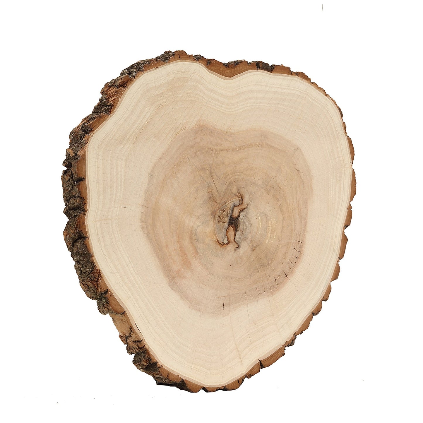 Natural color round rustic wood slice, 18" diameter, ideal for table centerpieces.
