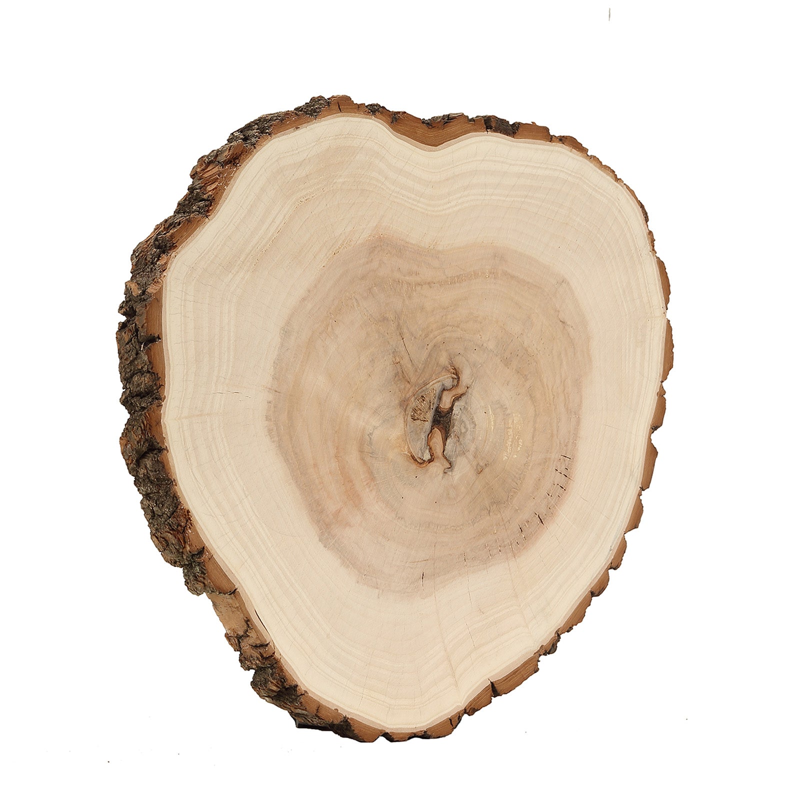 Natural color round rustic wood slice, 18" diameter, ideal for table centerpieces.